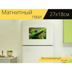 Магнитный пазл "Ящерица, рептилия, ящерицы" на холодильник 27 x 18 см. Lots Prints