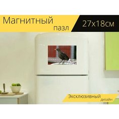 Магнитный пазл "Черный дрозд, женский пол, дрозд мерула" на холодильник 27 x 18 см. Lots Prints