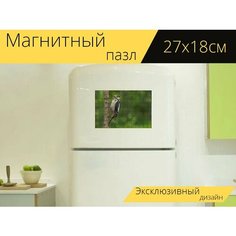 Магнитный пазл "Дятел, птица, лес" на холодильник 27 x 18 см. Lots Prints