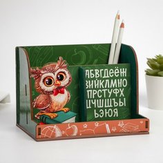 Органайзер развивающий "Сова" Россия
