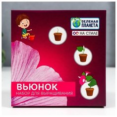 Набор для выращивания с глиняным горшочком (Вьюнок) Noname