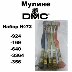 Нитки мулине DMC Embroidery для вышивания / Набор №72 / цвета 924, 169, 640, 3364, 356