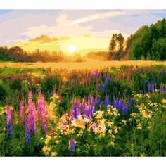 Картина по номерам Закат 40х50 см Hobby Home