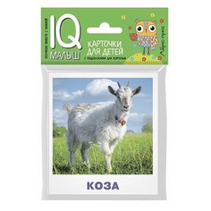 Книга Айрис-пресс Умный малыш. Домашние животные, 13.5х9 см