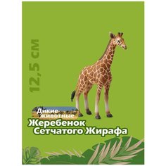 Фигурка Collecta Жеребенок сетчатого жирафа 88535b, 22 см