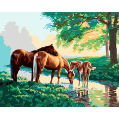 Белоснежка Картина по номерам "Скакуны на водопое" (633-АВ), 40 x 50 см, разноцветный