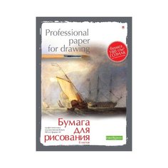 Папка для рисования Альт Professional paper for drawing 42 х 29.7 см (A3), 160 г/м², 8 л.