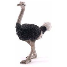 Фигурка Collecta Страус 88459, 9 см