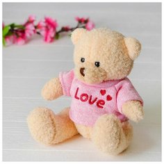 Мягкая игрушка «Медведь», 20 см, кофточка с надписью, цвета микс 1 Toy