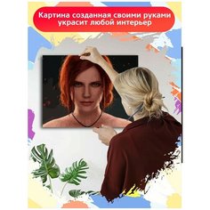 Картина по номерам игра Ведьмак Геральт Трисс - 6737 Г 30x40