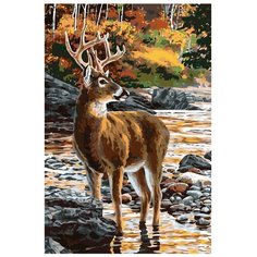 Картина по номерам, "Живопись по номерам", A356, олень, природа, рога, осень, камни, берег, озеро, иллюстрация