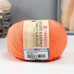 Пряжа "Детский каприз трикотажный" 50%мер. шерсть, 50% фибра 400м/50гр (396-Наструция) Пехорка