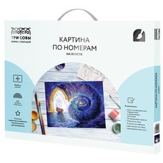 ТРИ СОВЫ картина по номерам Затерянный мир, 40 x 50 см, разноцветный