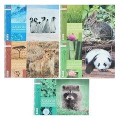 Альбом для рисования А4, 24 листа, на гребне, BabyZoo, обложка мелованный картон, блок 100 г/м², перфорация на отрыв, микс Hatber