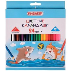 Карандаши цветные пифагор Веселые акулята, 24 цвета, классические, заточенные, 181818 1 шт.