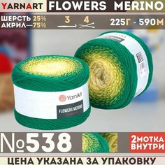 Пряжа YARNART Flowers Merino (YarnArt), зелен/хаки/желт - 538, 25% шерсть, 75% акрил, 2 мотка, 225 г, 590 м.