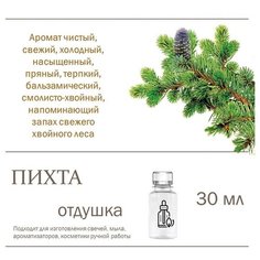 Пихта, отдушка для свечей и мыла 30 мл Candle M