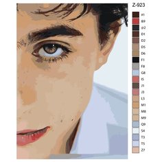 Картина по номерам Z923 "Тимоти Шаламе " 60x90 Brushes Paints