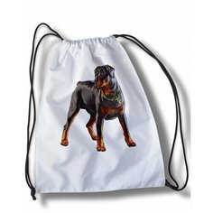 Мешок для сменной обуви Grand Theft Auto V - 11089 Brut Boxers