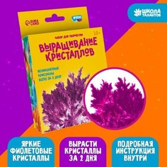 Набор для творчества «Лучистые кристаллы», цвет фиолетовый Школа талантов