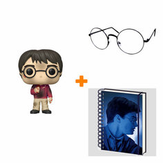 Набор Harry Potter фигурка Harry With The Stone + ежедневник Magic Portrait 3D + очки Pyramid International