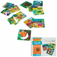Игра Кто где живёт (сортер) RI2206C Нет бренда