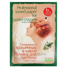 Папка для пастели А4, 20 листов "Профессиональная серия", блок 6 цветов, 150-230 г/м2 Альт