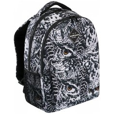 Ученический рюкзак ErichKrause® EasyLine® с двумя отделениями 20L Night Owl 51633