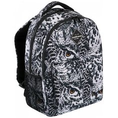 Ученический рюкзак ErichKrause® EasyLine® с двумя отделениями 20L Night Owl 51633