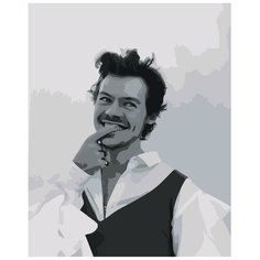 Картина по номерам, "Живопись по номерам", 48 x 60, Z-NA200, Гарри Стайлс