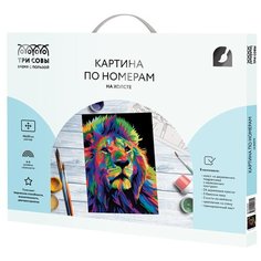 ТРИ СОВЫ картина по номерам Яркие краски, 40 x 50 см, разноцветный