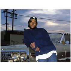 Картина по номерам на холсте ice cube - 388