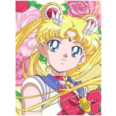 Картина по номерам на холсте Sailor Moon - 6 30 х 40