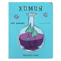 Тетрадь предм Школа волшебства 48л кл Химия Альт