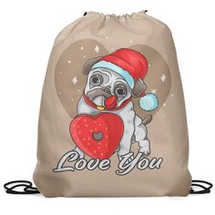 Сумка мешок-рюкзак для обуви 42х35 см, Gorolla