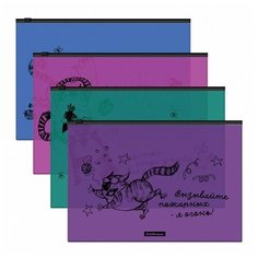 Папка-конверт на ZIP-молнии А4, 160 мкм, ErichKrause Zen Cats, глянцевая, полупрозрачная, с принтом, микс