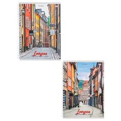 Тетрадь общая А5,96л, клетка, греб, мел. обл. узкая мостовая 96-9033. Проф пресс