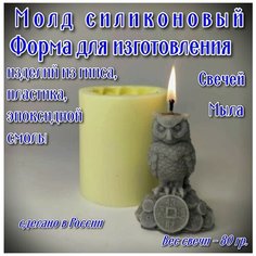 Силиконовая форма "Филин на монетах", молд для изготовления свечей, мыла, изделий из гипса, эпоксидной смолы. Rus Mold