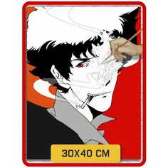 Картина по номерам на холсте Аниме Ковбой Бибоп - 7764 В 30x40