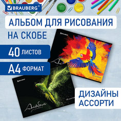 Альбом для рисования А4, 40 л, скоба, обложка картон, BRAUBERG, 205х290 мм, "Полёт" (2 вида), 106707 В комплекте: 2шт.