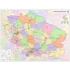 Настенная карта Ставропольского края 150 х 205 см (на самоклеющейся пленке) Нет бренда