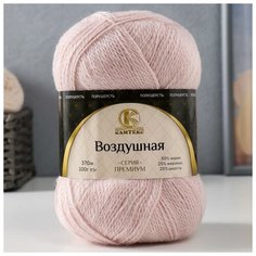 Пряжа "Воздушная" 25%меринос. шерсть, 25%шерсть, 50%акрил 370м/100гр (067 пудра) 7420645 Камтекс
