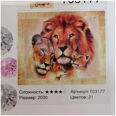 Картина, алмазная мозаика на подрамнике лев, семья львов, львы 21 цвет китай