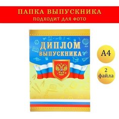 Папка с двумя файлами А4 "Диплом выпускника" герб и триколор на золотом фоне NO Name