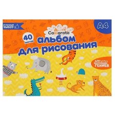 Альбом для рисования А4, 40 листов на склейке, обложка мелованный картон, блок 100 г/м2 Calligrata