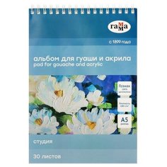 Гамма Альбом для акрила и гуаши А5, 30 листов, 180 г/м2, "Гамма. Студия", на гребне Gamma