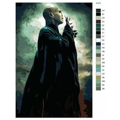 Картина по номерам V-311 "Гарри Поттер (Harry Potter). Волан-де-Морт", 50x70 см Brushes Paints