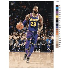 Картина по номерам Z-208 "Баскетболист Джеймс Леброн. Lakers" 50x70 Brushes Paints