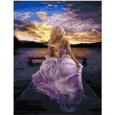 Картина по номерам Лиловый закат 40х50 см АртТойс