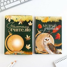 Ежедневник в подарочной коробке, А5, 80 листов, твердая обложка «Золотому учителю» Art Fox